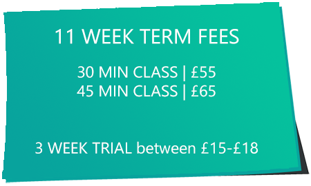 Term Fees